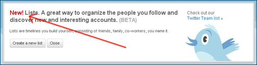 Twitter Lists
