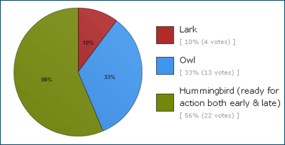 Are affiliate marketers larks, owls or humming birds?