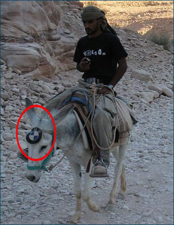 BMW Donkey